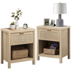 Alayha 19.7'' W Nightstand (Set of 2)