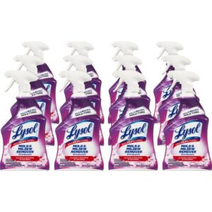 LYSOL Brand Mold and Mildew Remover with Bleach, 32 oz Spray Bottle, 12/Carton (78915)